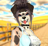Juniper-Foxipaws