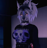 Aurora-Foxipaws