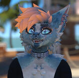 Malibu-StrumWolf