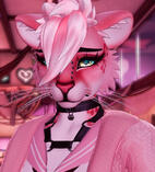 Cleo-Foxipaws